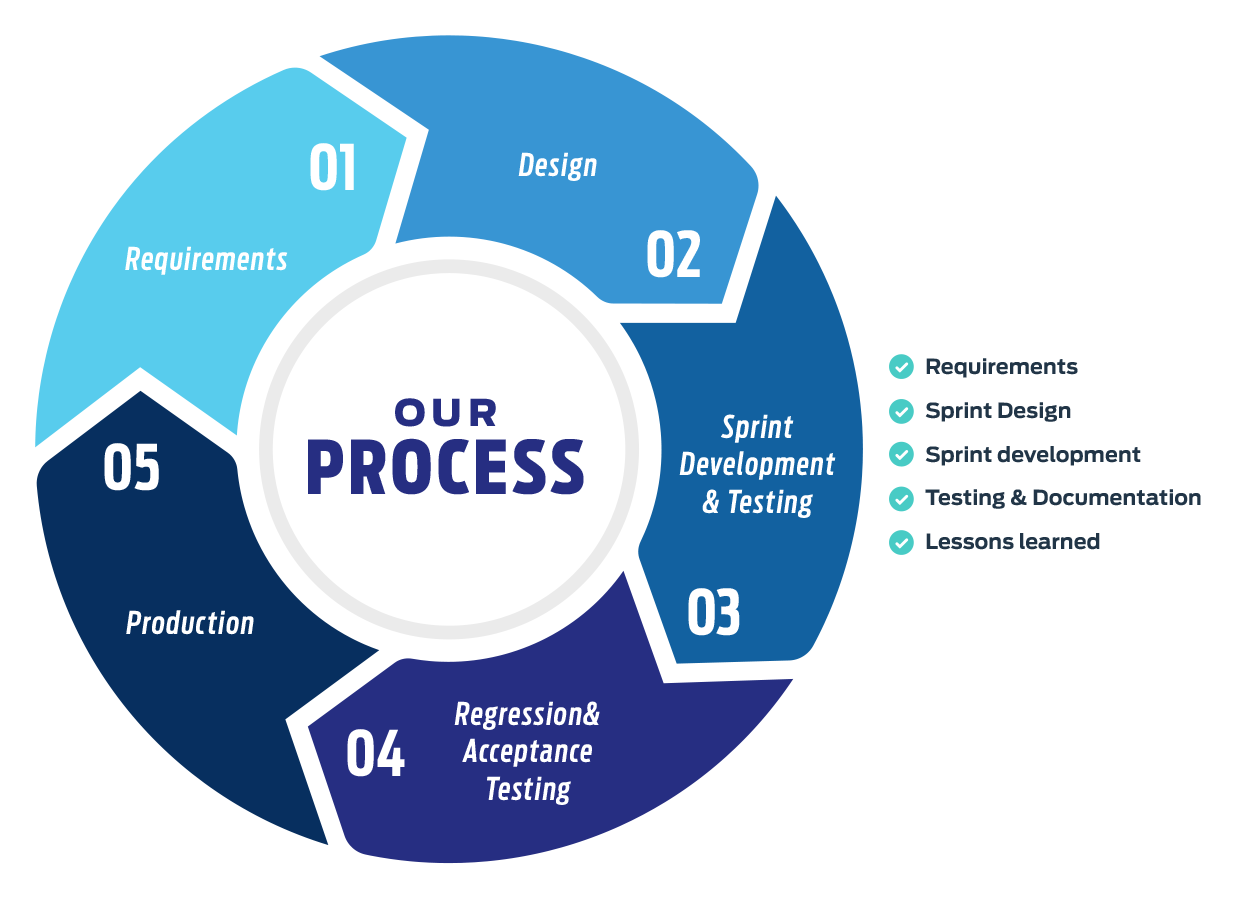 Custom Software Development Process